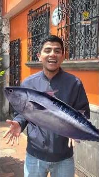 UPAV/ Veracruz in the Feed of March 30, 2026