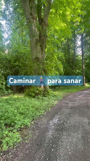 Mis pasos hacia la calma en Adelsö después del burnout