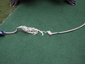 クライミングロープも簡単に切れる、なぜなら…【動画あり】