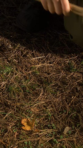 #survival #bushcraft #survivalcamping He made an AMAZING basket in the forest bushcraft camping survival diy Im showing you how to make a simple and effective bushcraft basket from vines in the forest. Kirill Multitool345  | Kirill multool 345 | Facebook