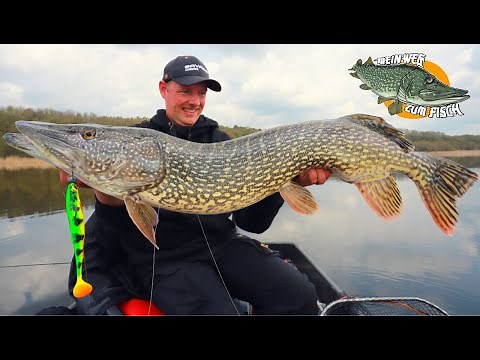 Hechtangeln im See - Erfolgreich Angeln nach der Schonzeit