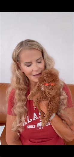 CARLSBAD � #CavapooPuppy #CavapooLove #PuppySnuggles #PuppyKisses #CavapooLife #ForeverFriend #PuppyJoy #CavapooCuties #CavapooAdventures #DoodlePuppy #NonSheddingPuppy #FamilyDog #FirstTimeDogOwner #CavapooCharm #PuppyPlaytime #HappyPuppy #SnuggleBuddy #CavapooCommunity #AdoptAPuppy #FurryFriendForLife #PerfectCompanion #PuppiesOfInstagram #CavapooLoveStory #FluffyAndAdorable #PuppyGoals | Cavapoo Puppies