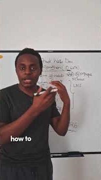 fullstack web dev marathon