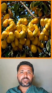 603K views · 9.3K reactions | ‏‎Today The best video #reelschallenge...