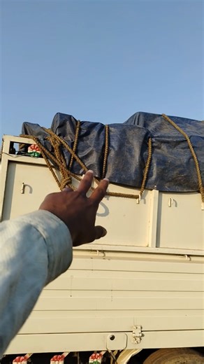 tamatar loading🍅 03/365 din blog challenge #shorts #ytshorts #vlog #pickup #truck #travelvlog