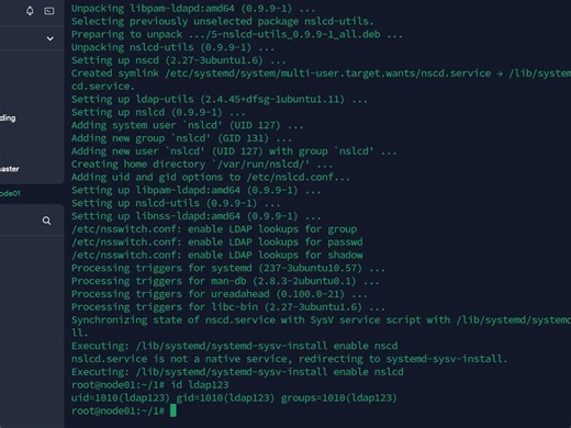 Ubuntu18自动安装配置LDAP