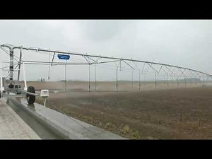 linear rainger irrigation