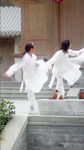 Taoist martial arts in WuDang Mountain, WuDang FuHu Quan.