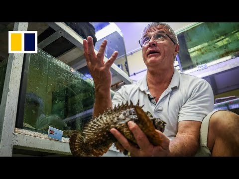 Meet the man stung 11 times by deadly jellyfish