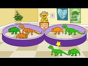 PC Longplay - Zoe's Pet Shelter [Fixed Add Files] HD