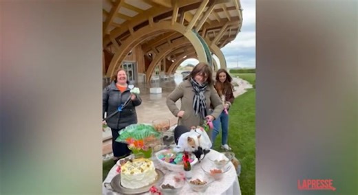 Pepe e Nana si sposano, per i due chihuahua torta, prosecco e fedi: è il primo matrimonio tra cani