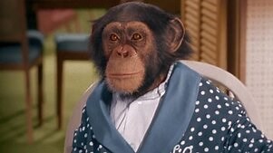 Bewitched: Season 2 Episode 1 Alias Darrin Stephens