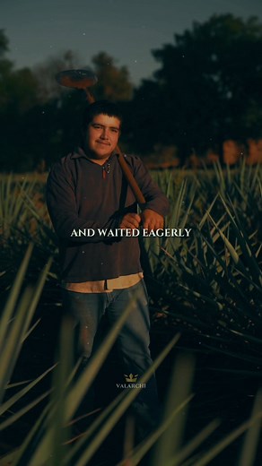 1.4M views · 39K reactions | Bamboo life lesson . . Follow for more...