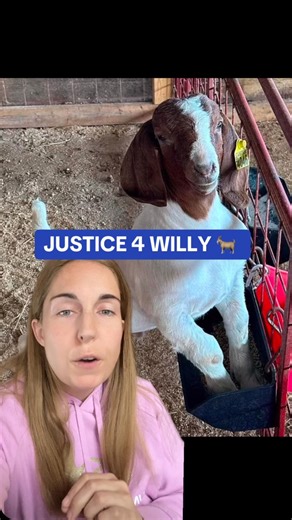 12K views · 13 reactions | Baby goat poisoned by 17yo who wanted to win a livestock competition  #justice4willy #willythegoat #aubreyvanlandingham #crimetimeteatime | Crime Time Tea Time | Facebook