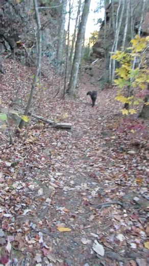 Marlene Simpson on Reels