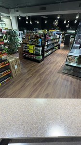 16x16x16” bioactive build for Dart Frogs. Begin by adding the drainage layer, ZooMed hydroballs (LECA). Lay down substrate drainage mesh barrier. Build up the bioactive substrate so it’s deeper in the back than the front. Hardscape materials are cork bark and manzanita. Plants include: peacock moss, marcgravia, philodendron miccans, episcia, coleus, oak leaf fig, pepperomias, kangaroo fern, begonias, and others. Clean up crew consists of dwarf white isopods and temperate springtails. Top it off