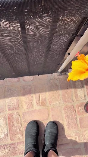 Day in the life of Tiptoe 🌸📋🐢 they grow up so fast 🥹 #tiptoe