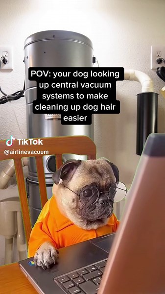 If you're a pet parent, you know how fast fur and dander pile up. 🐾 Central vacuum systems are a game-changer they capture 100% of vacuumed dust, dirt, and allergens without recirculating anything back into your living space. That means reduced odors, cleaner air, and an easier time keeping up with daily shedding! #airlinevacuum #centralvacuumsystem #homecleaning #cleaningtiktok #cleaninghacks #houstontx #vacuumsystem #vacuumcleaner