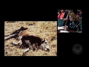 Linda Moulton Howe - Bloodless Cattle Mutilations
