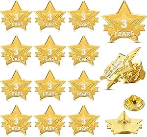 Tigeen 12 Pcs Year Service Reward Pins Star Enamel Pins Years of Service Award Lapel Pin for Long Standing Employees Volunteers Couples Anniversary(3 Years)