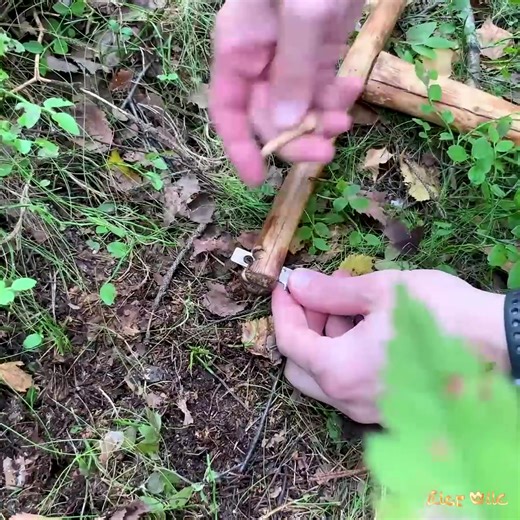 185K views · 3.1K reactions | How To Make a WOODEN Cup KUKSA from BIRCH BURL into the FOREST without Power TOOLS | Bushcraft Lover | Facebook