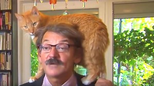 Cat steals show in live TV interview