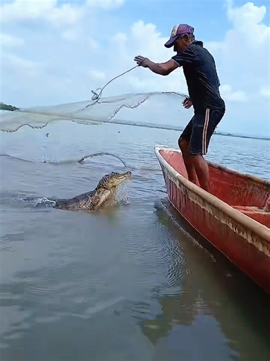 Course nasoma ya Luxury. Nature esazeewo kukwatisa mateeka lwa mpaka. Illegal fishing must end, Say no to Konyoka. #viral #fyp #funny #fishing #castnetfishing @🌸lucky Whitney🌸 @FisherIes @Fishing @FISHING