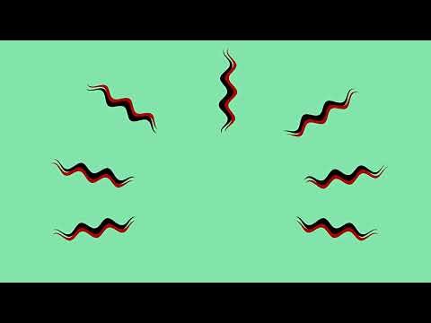 Spiderman Sense - Green Screen