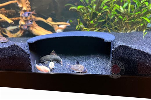 3D Printed Aquarium Tunnel: Fish Cave Hideaway for Loaches, Cichlids, Corydoras and More - Etsy