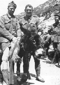 Simpson and His Donkey