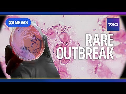 The rare and deadly disease killing dozens in Far North Queensland | 7.30