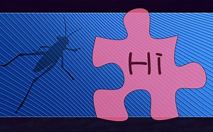 Hare教程_Split Tree by Child_根据子树拆分树形数据