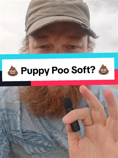 Soft puppy poo is one of the biggest worries for new dog owners. In most cases, it’s not worms or illness, it’s rubbish highly processed puppy food. Learn how digestion works, why kibble can cause gut issues, and what simple changes can help fast. Follow for calm, clear puppy advice