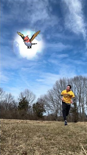 Fletchinder - Pokémon Catch #pokémon #gaming #videogames