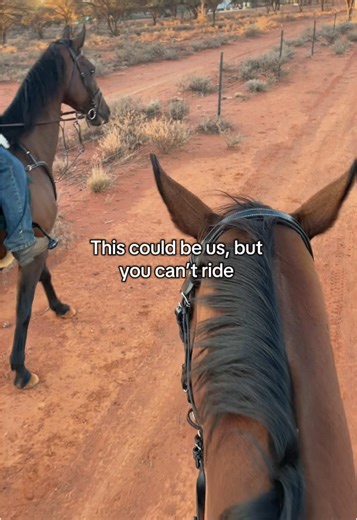 Equestrian Life: Fun Horse Riding Moments