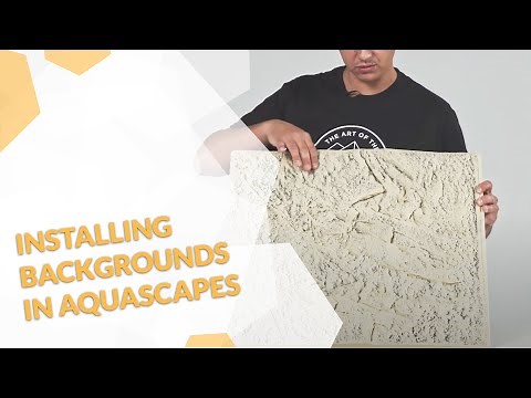 Installation of a 3D background in an aquascaping aquarium explained by Adrie Baumann