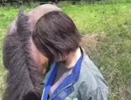 I gotta hear the horses side of the story | Bardock Obama