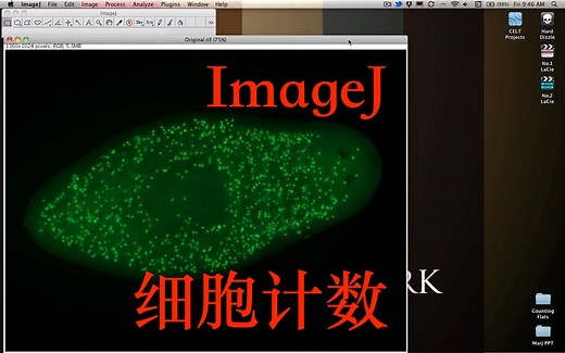 使用ImageJ进行细胞计数