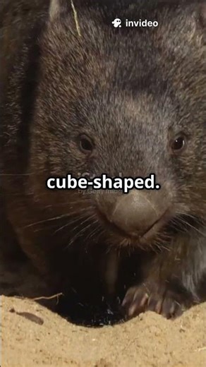 Mind-Blowing Random Facts You Didn't Know