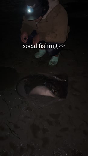 Finest City Fishing on Instagram: "We love it here #fishing #sandiegofishing #missionbay #finestcityfishing #sandiegoharbor #californiafishing #inshorefishing #bayfishing #pierfishing #saltwaterfishing #stingray #batray #sandiego #socal #california #halibutfishing #shorefishing #anglerlife #catchandrelease #tightlines #fishingdaily #fishingcommunity #fishon #fishingaddict #oceanfishing #fishingreel #westcoastfishing #fishingcalifornia #sandiegoanglers #fishinglife"