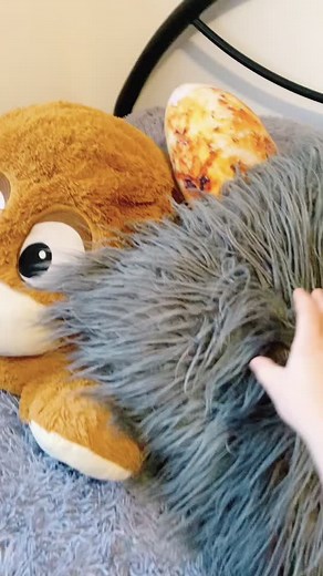 Good morning☀️ #school #beardeddragon #beardies #lizard #foryou