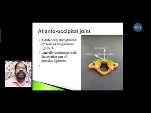 37.Atlanto-occipital and Atlanto-axial joints