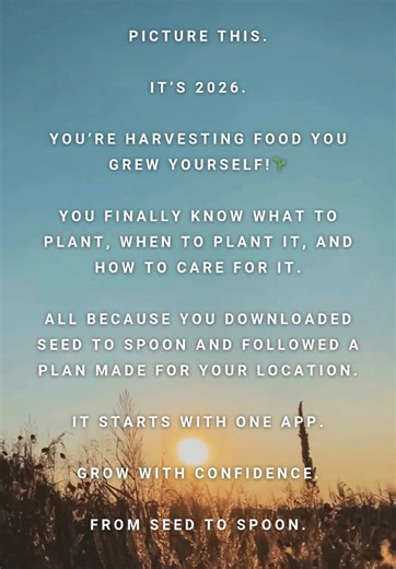 What if growing your own food felt simple instead of overwhelming? 🌱 What if you actually knew what to plant, when to plant it, and how to care for it - based on where you live? That future starts sooner than you think! With our Seed to Spoon app, you get guidance made for your location, so you can grow with confidence from day one all the way from seed to spoon!