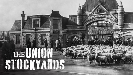 The Union Stockyards | Chicago Stories