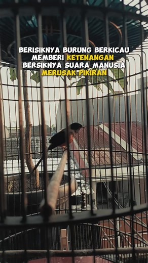 atax on TikTok