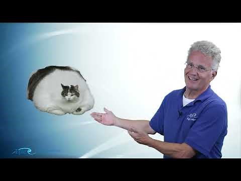 PPGS Lesson 10.4 | Weight & Balance: Weight Shift Formula (FATCAT)