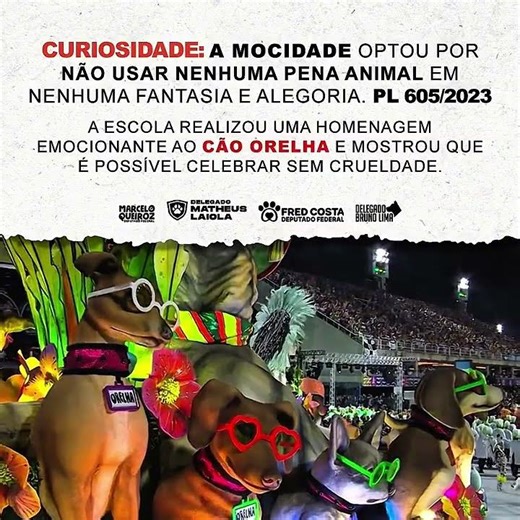 A Sapucaí mostrou que é possível inovar sem crueldade. 🐾✨