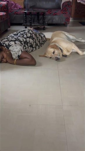 #sleeping beauty vs beast #bella #trending # pet # youtube #happy #love
