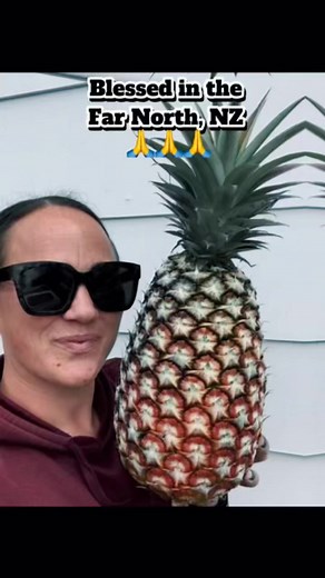 13 reactions | Subtropicals grown in the Far North, NZ  #AusteNZ #tropicalfruittrees #Subtropicalgardens #FarNorthNZ #nzgardens #austensexoticgardens #whanaulegacy #Subtropicals #Tropicals #subtropicalplants #grumichama #jaboticaba #lychee #pineapples #bananas #longan | Austenz | Facebook