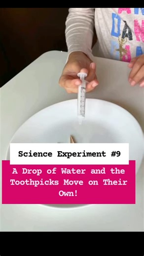 The Learning Pathway on Instagram: "✨ Science Experiment #9 : Magic Toothpick Experiment! 🌈Recommended Age: 3+ (with supervision) 🌈Materials Required: ✔️ 5-6 wooden toothpicks ✔️ A plate ✔️ Water 🌈The Science Behind It & How It Works 🔹When the toothpicks are broken (but not completely separated), their inner fibers absorb water. 🔹As they swell, they push outward, causing the toothpicks to move and form a star-like shape. 🔹This demonstrates capillary action and surface tension in a fun way!